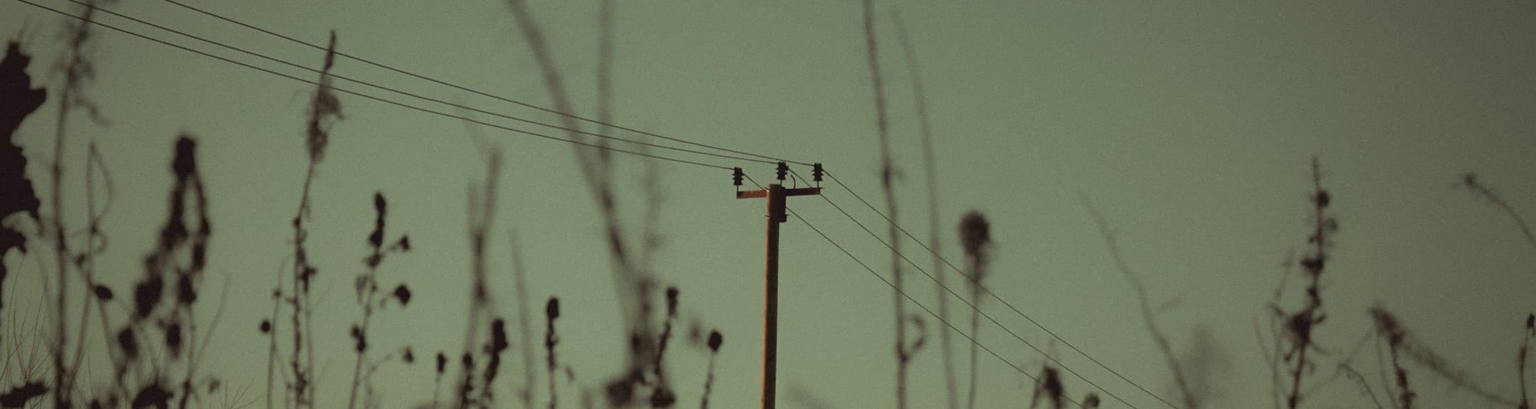 User profile banner