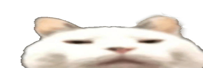 User profile banner