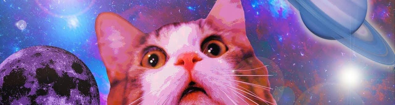 User profile banner