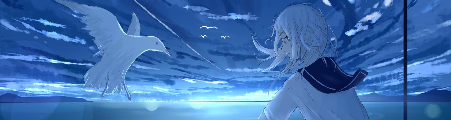 User profile banner