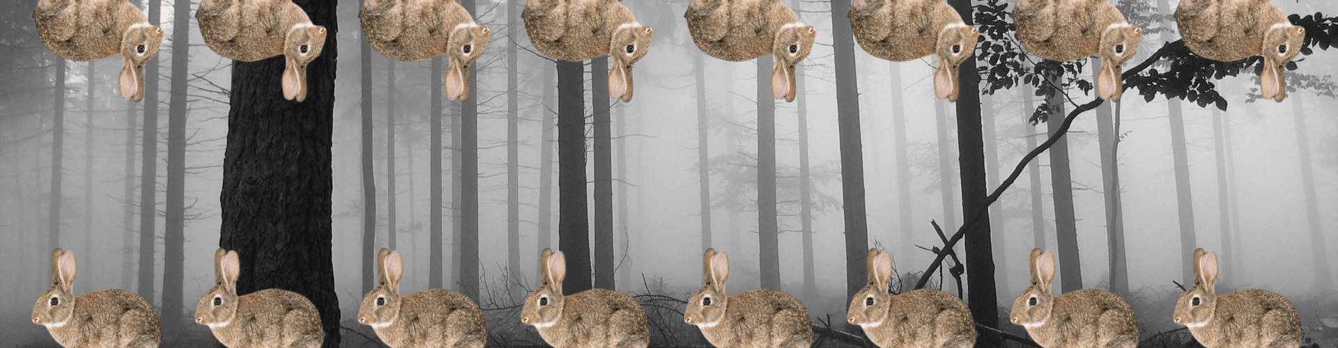 User profile banner