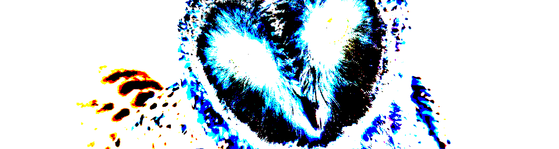 User profile banner
