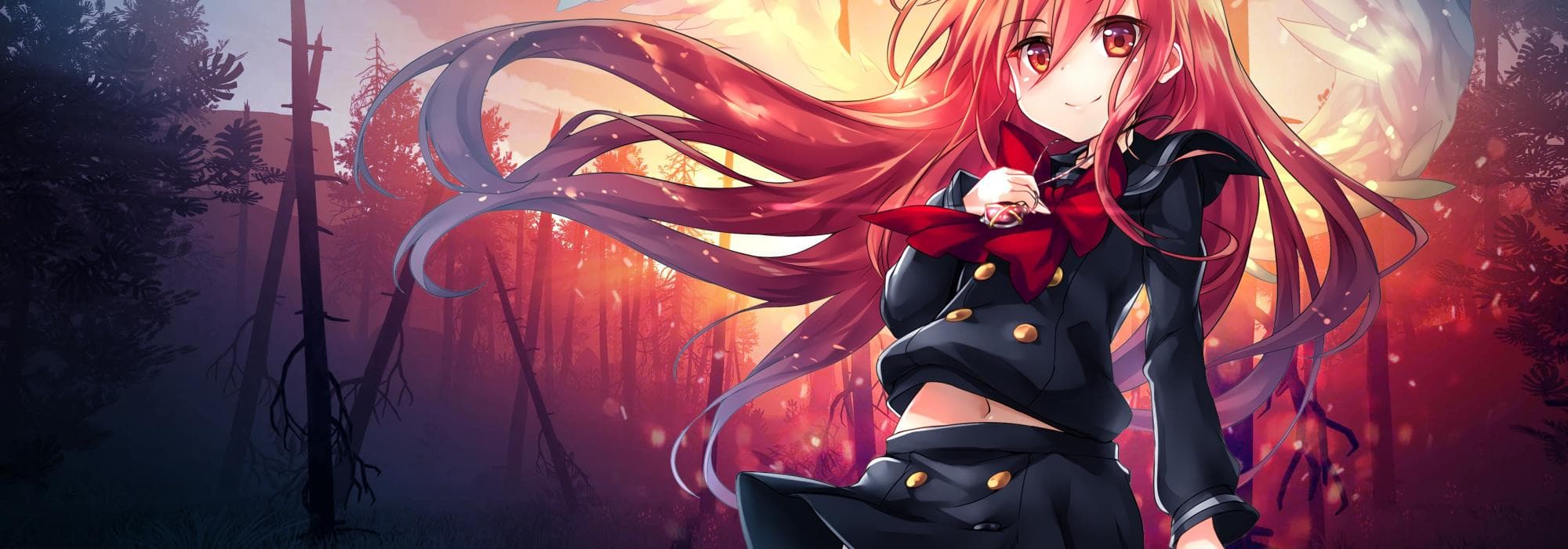 User profile banner