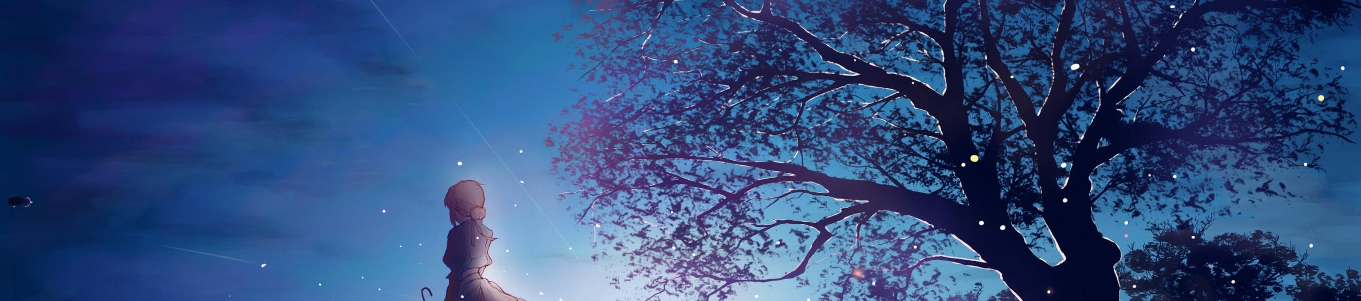 User profile banner