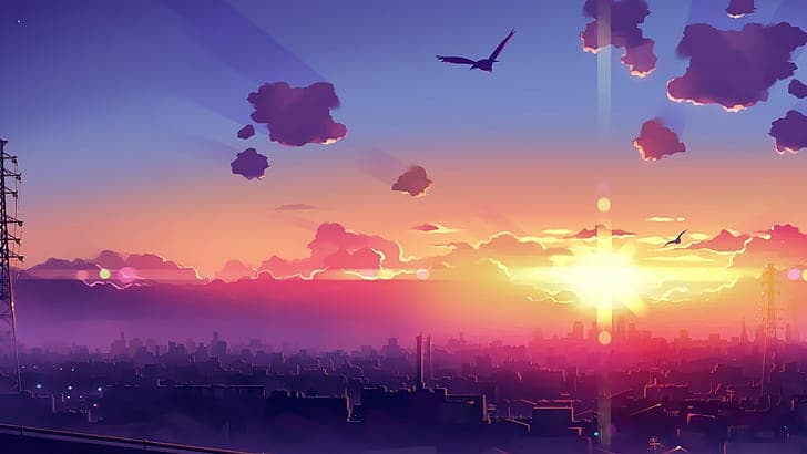 User profile banner
