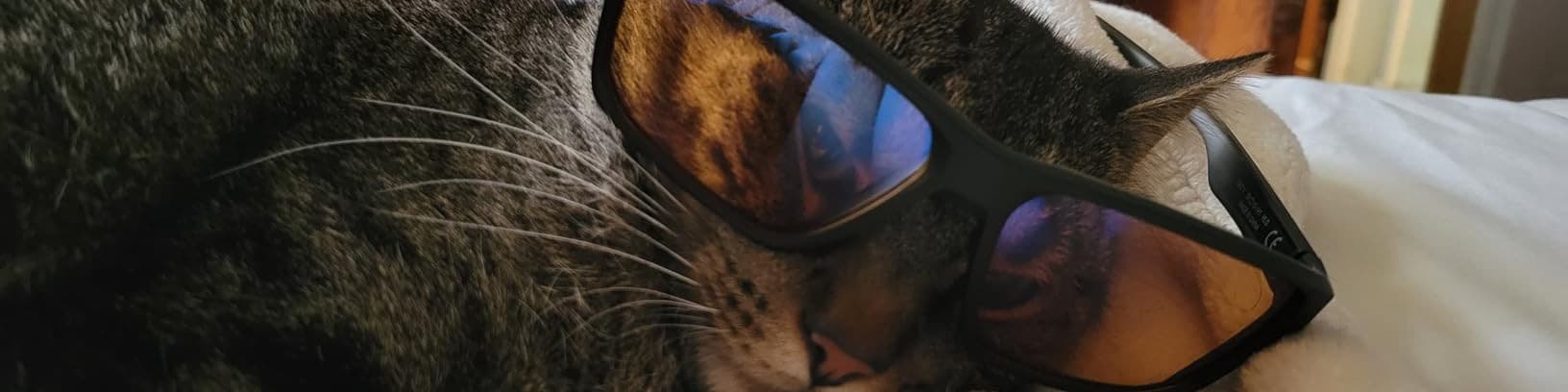 User profile banner