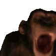 User profile banner