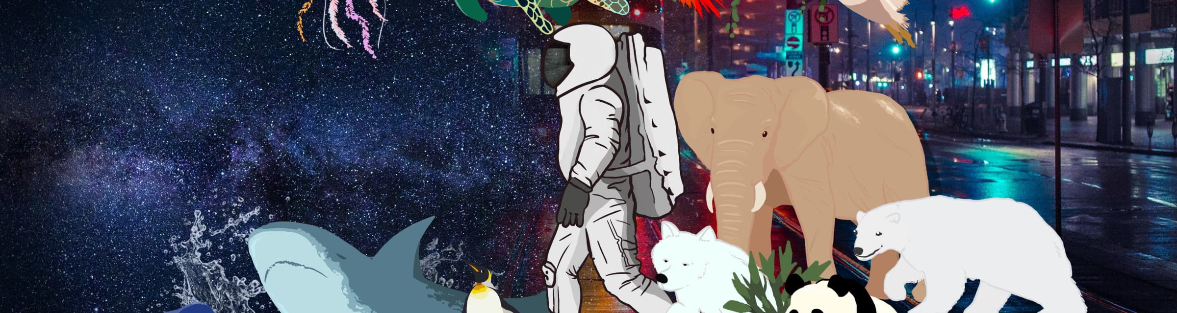 User profile banner