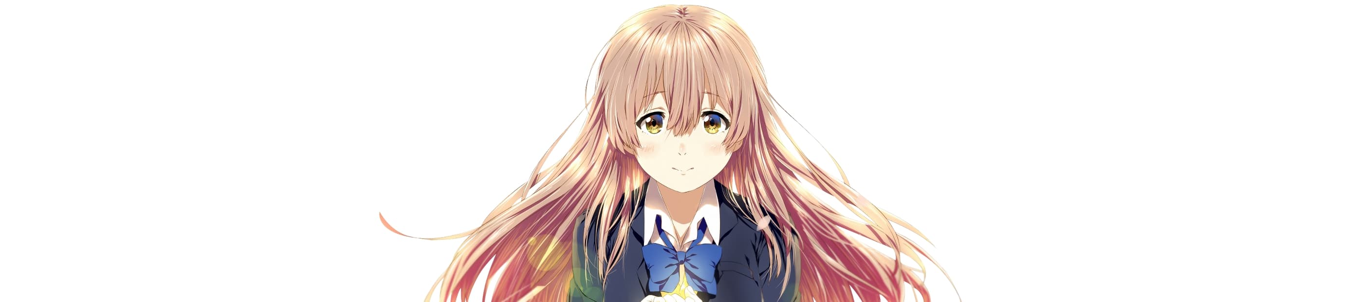 User profile banner