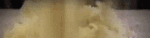User profile banner