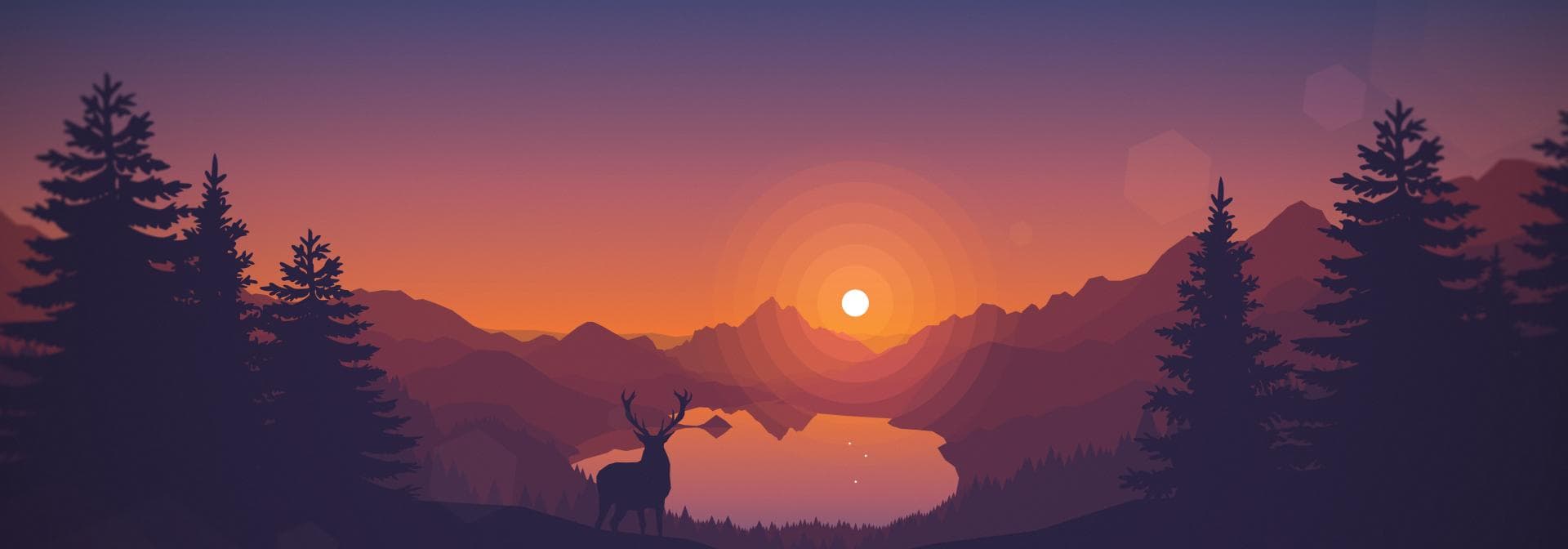 User profile banner