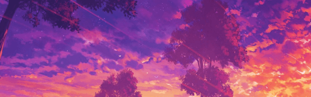 User profile banner