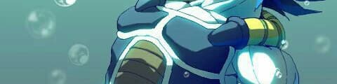 User profile banner
