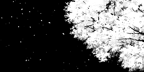 User profile banner