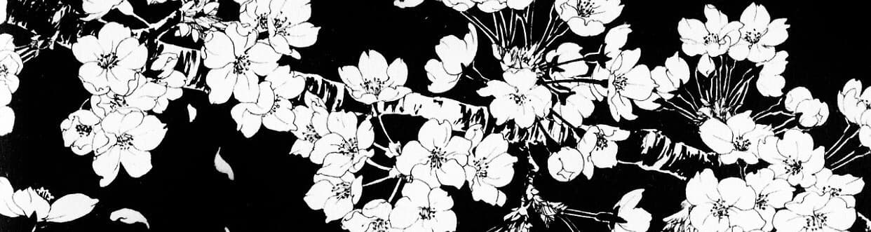 User profile banner