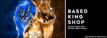 User profile banner
