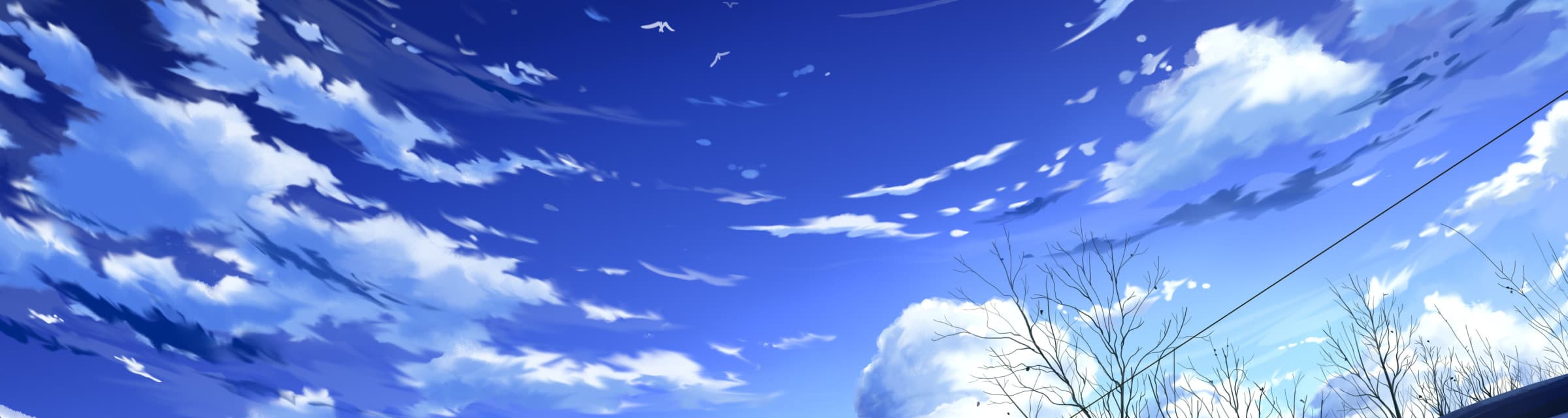 User profile banner