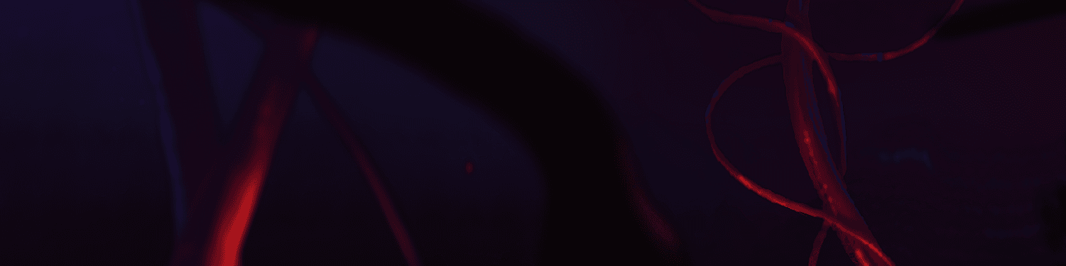 User profile banner
