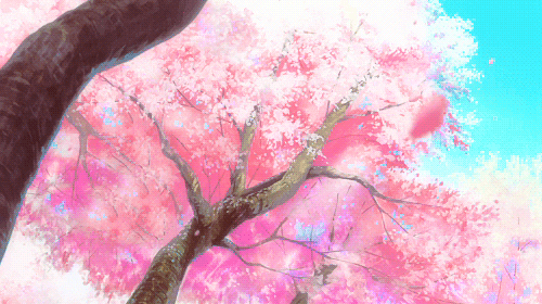 User profile banner
