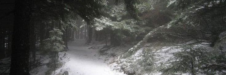 User profile banner