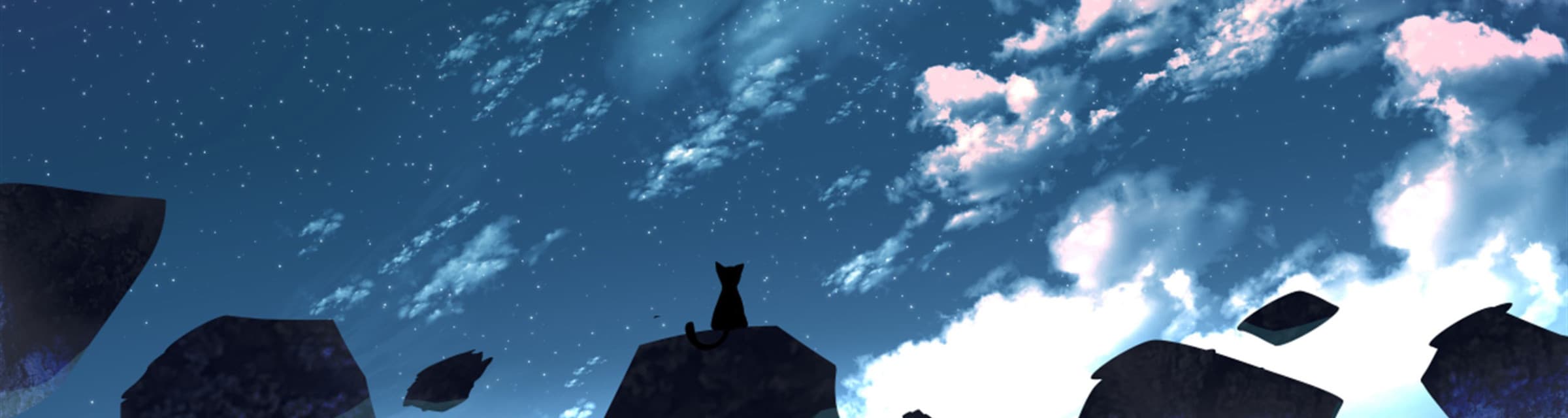 User profile banner