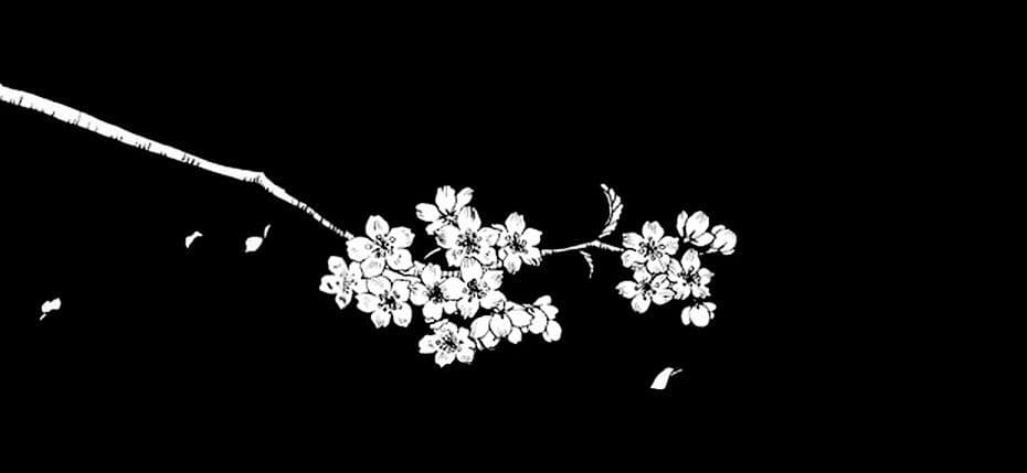 User profile banner