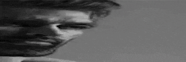 User profile banner