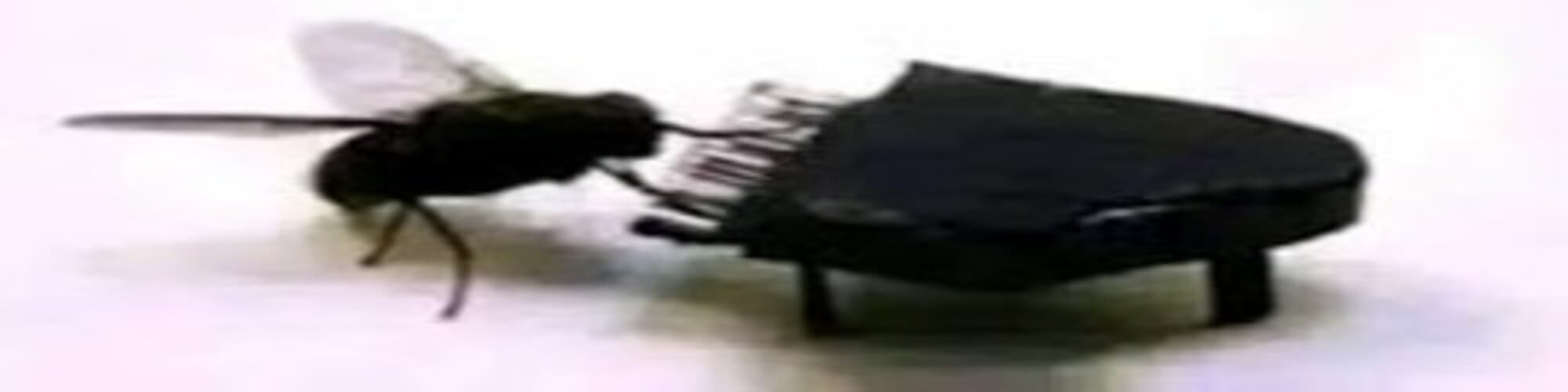 User profile banner