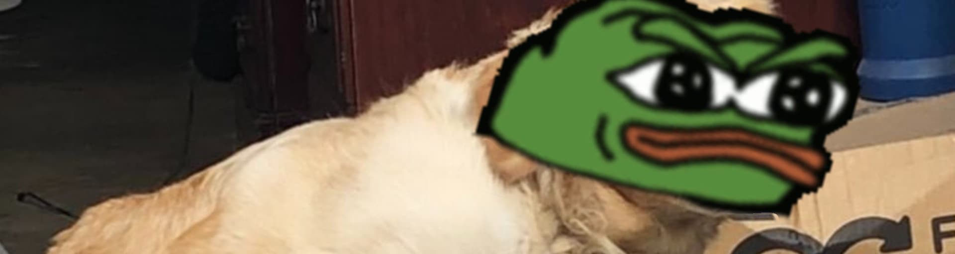 User profile banner
