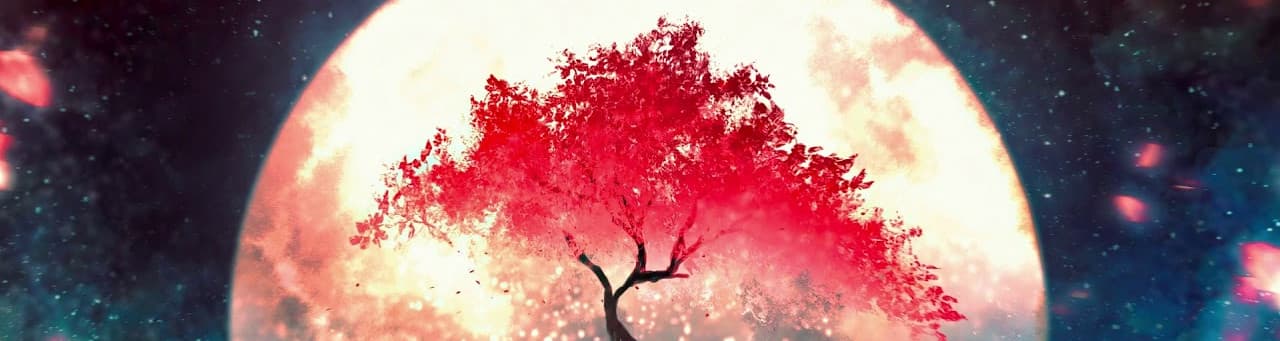 User profile banner