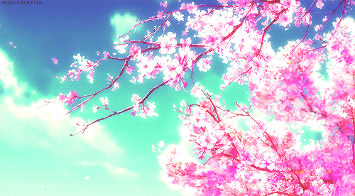 User profile banner
