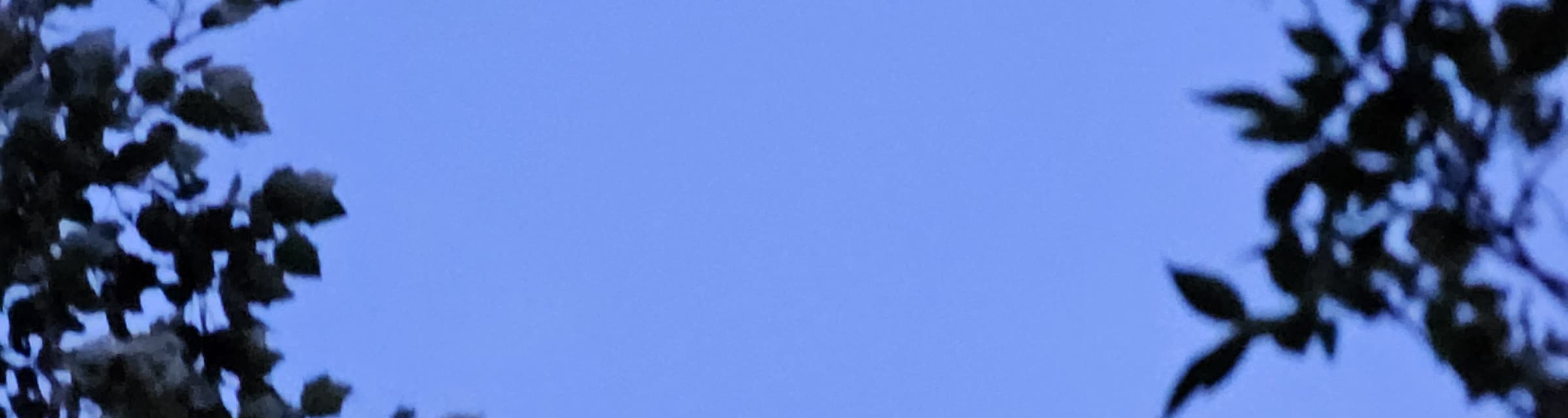 User profile banner