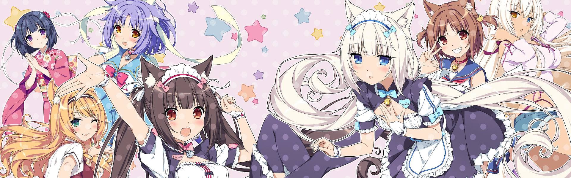 User profile banner