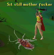 User profile banner