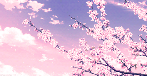 User profile banner