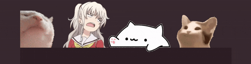 User profile banner