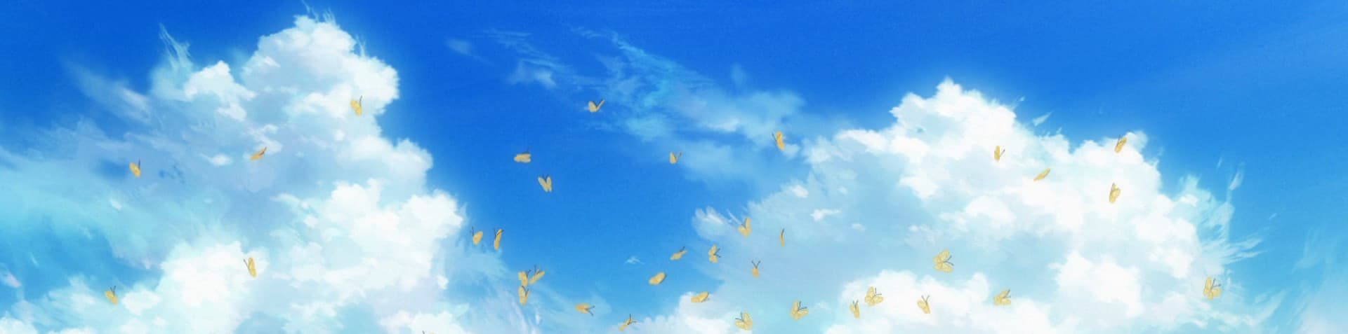 User profile banner