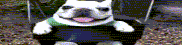 User profile banner