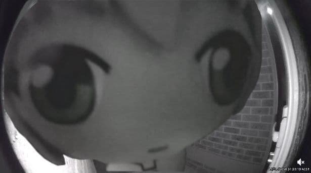 User profile banner
