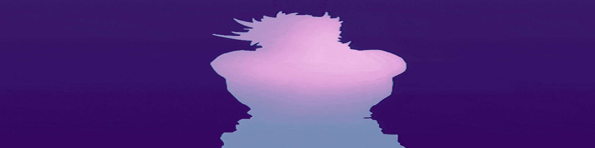 User profile banner
