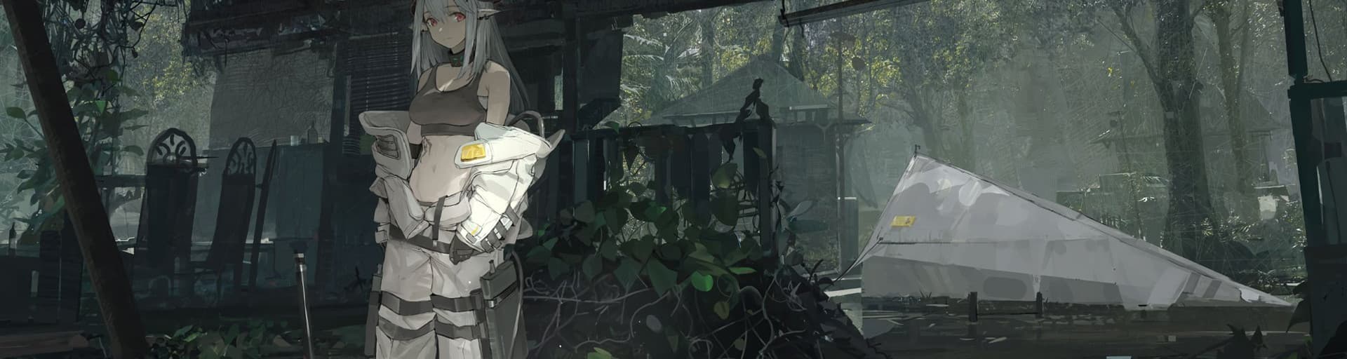 User profile banner