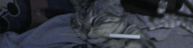User profile banner