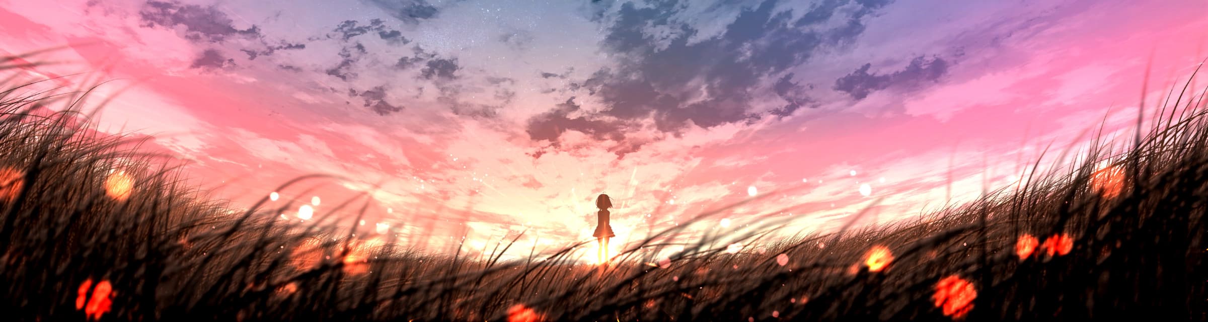 User profile banner