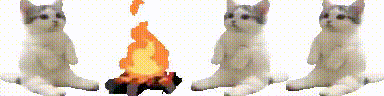 User profile banner