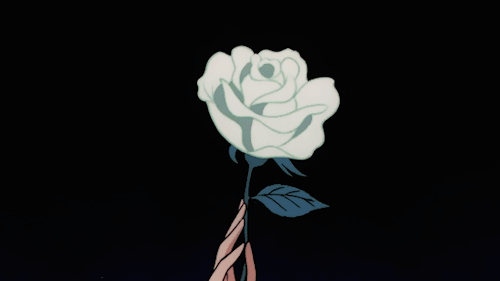 User profile banner