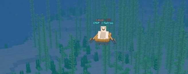 User profile banner