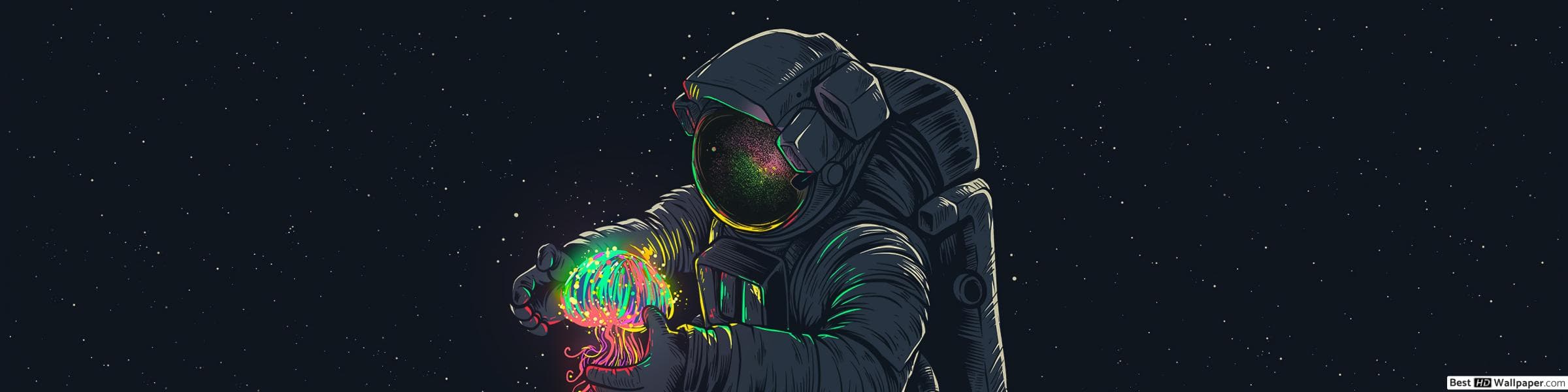 User profile banner