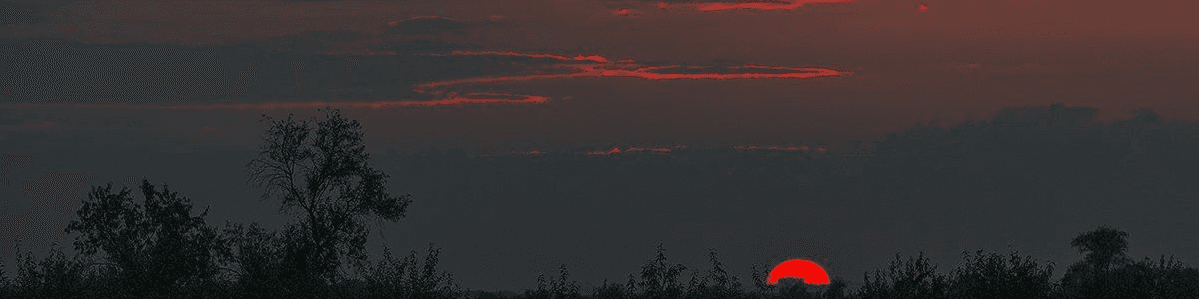 User profile banner