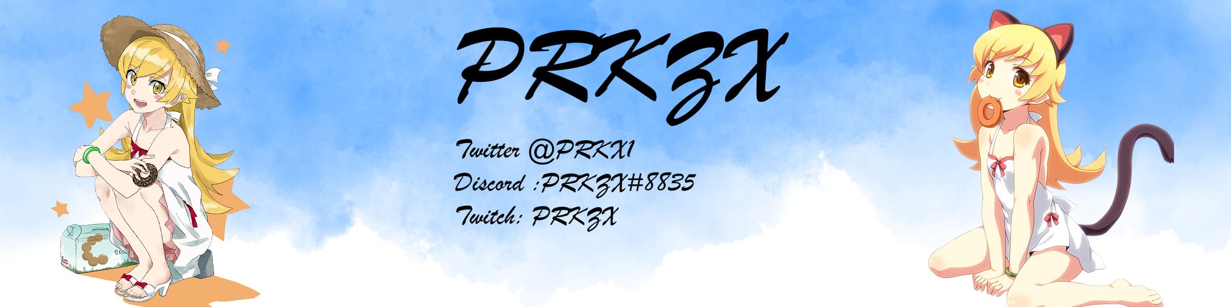 User profile banner
