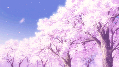 User profile banner